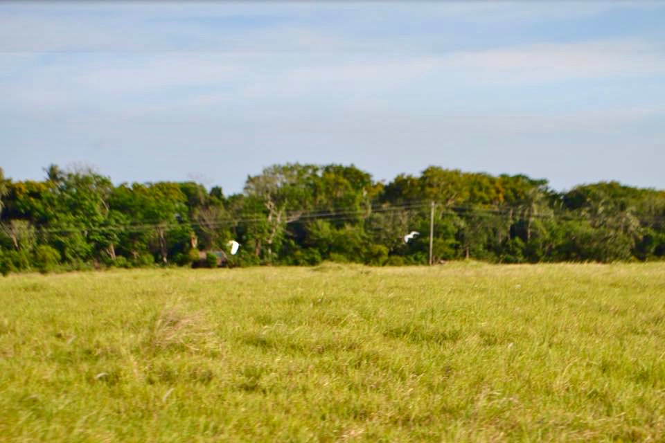 17796459_10208472366758664_3936202052020749703_n