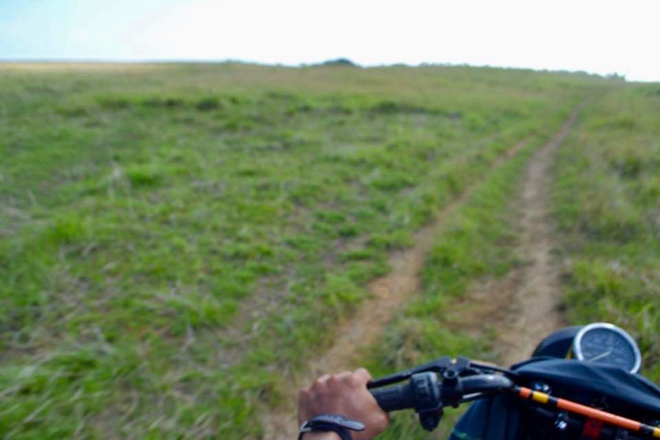 17796572_10208468025050124_564995769919875132_n