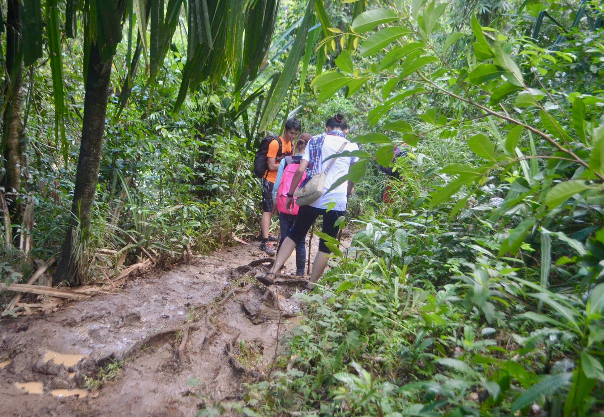 12232829_10204911060608236_4066682882066008901_o