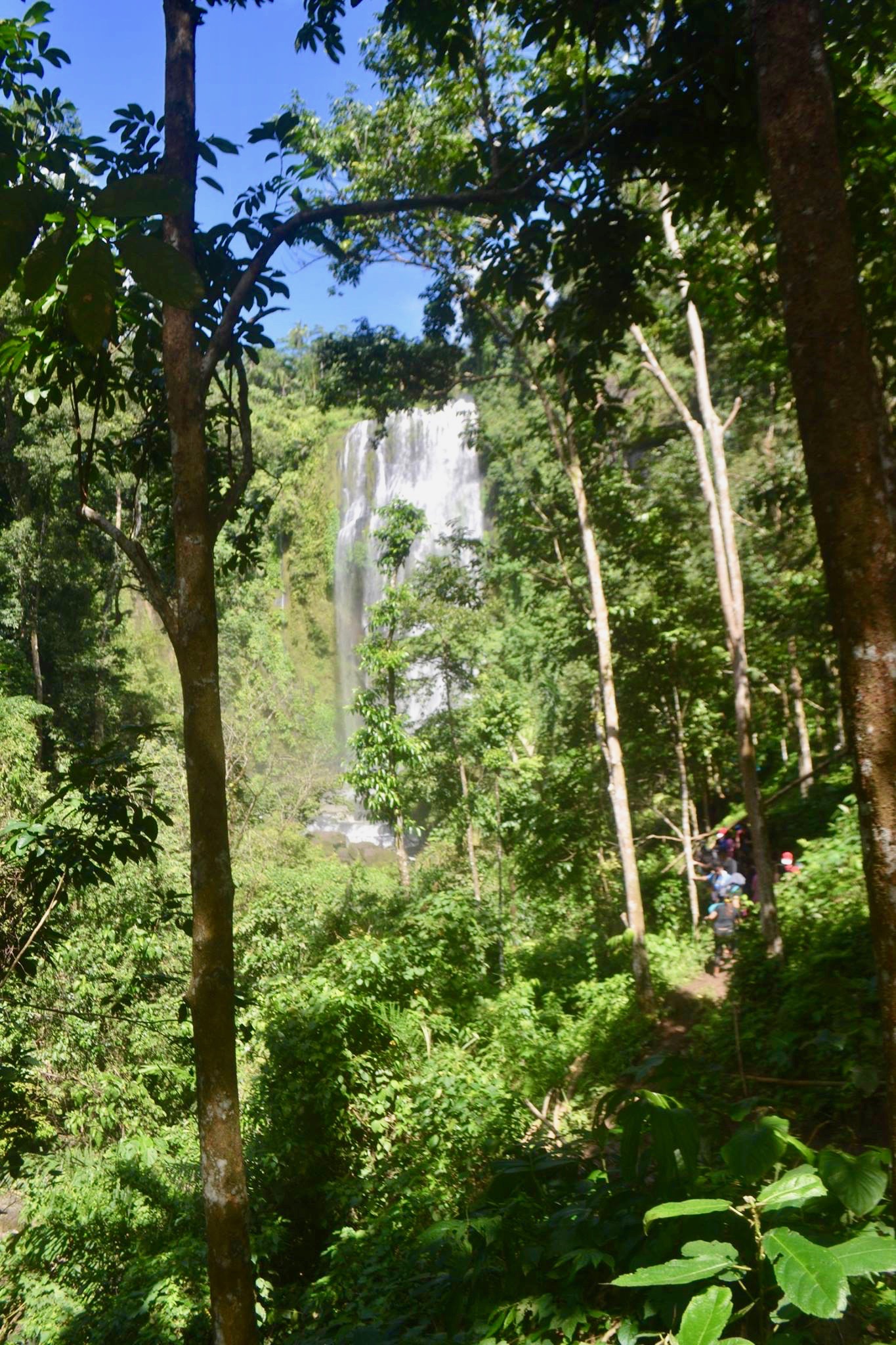 12241088_10204911075048597_4792964545739925412_o