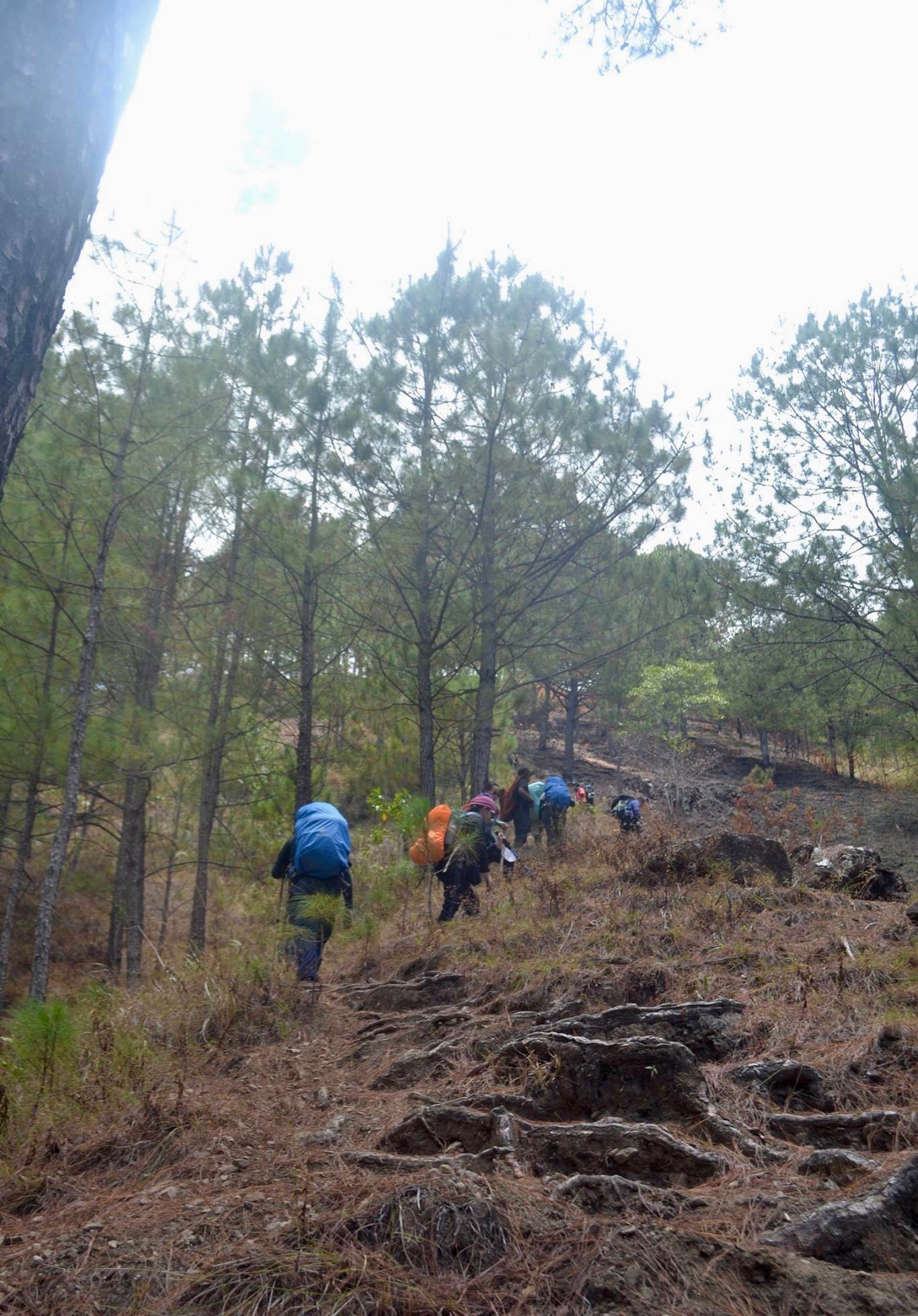 12967366_10205870489953370_5752342760979466602_o