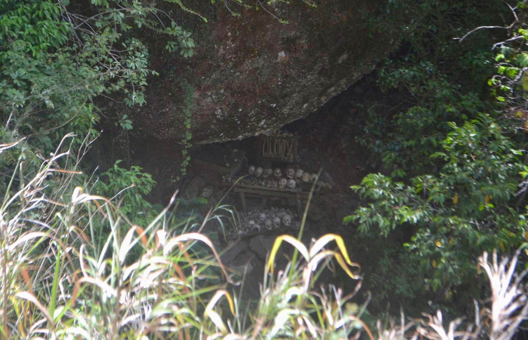 12973297_10205870471632912_5213969270312589880_o