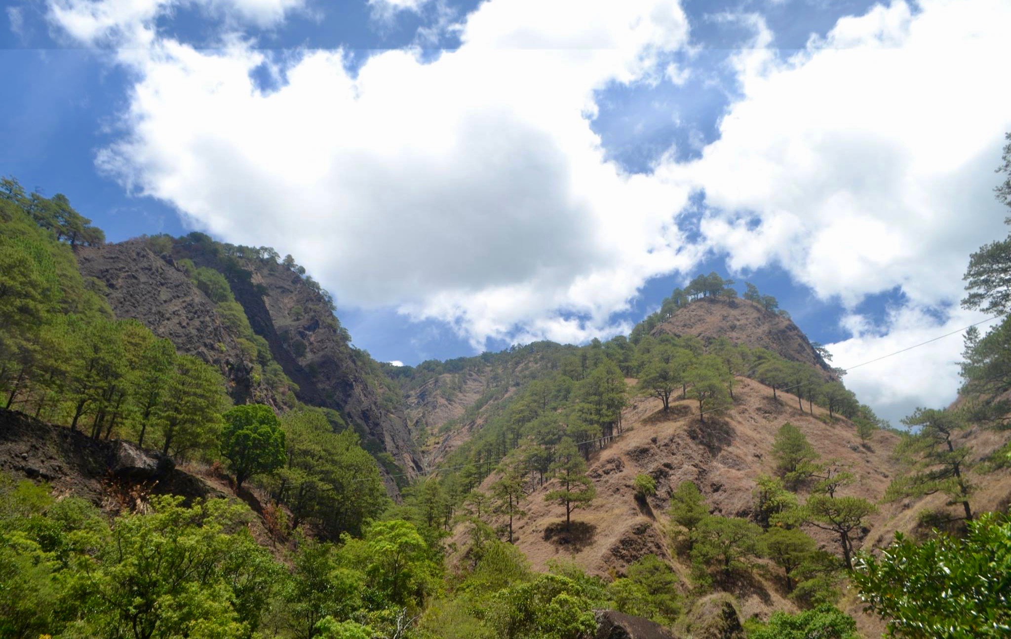 12983392_10205870486793291_6224679592958349262_o