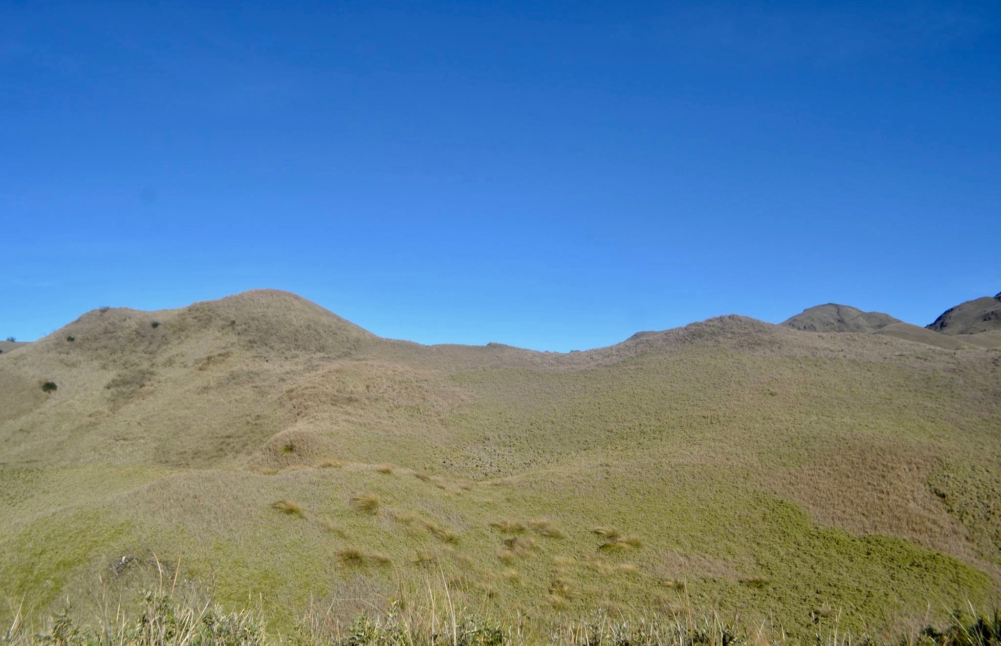 12983866_10205870613076448_7304851172006898487_o