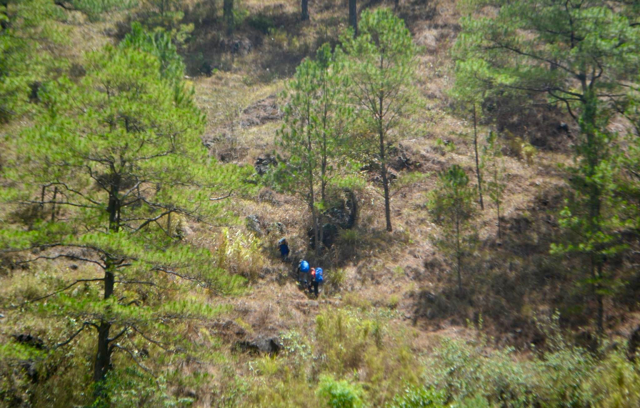 12984021_10205870482913194_3297829696518665770_o