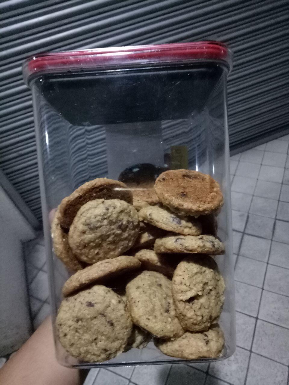 56757490_384401249067609_4291141154449129472_n